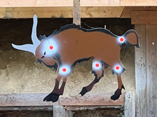 Das Ziel - der Bock. Noch unversehrt.